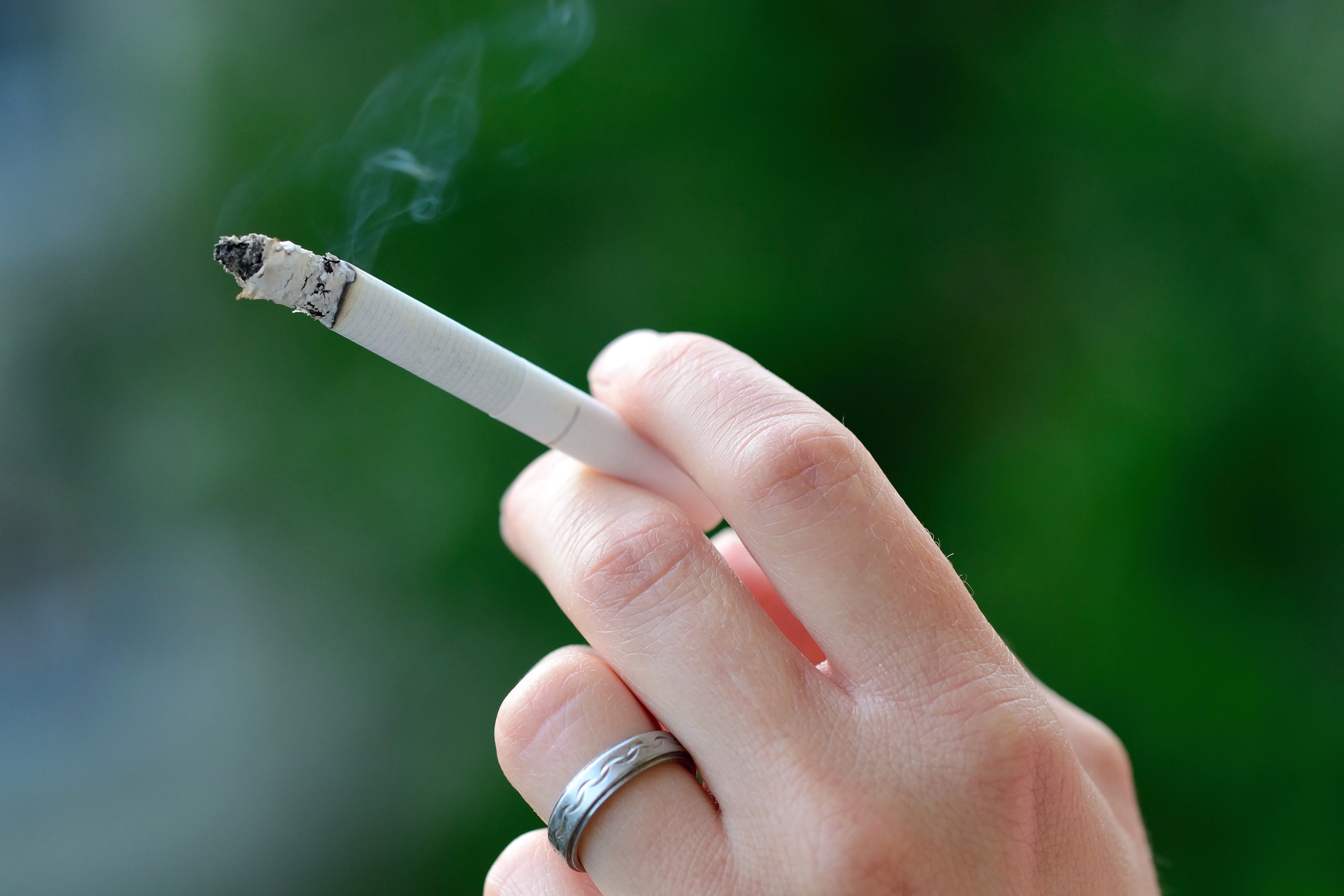 smoke cigarettes before or after eating Maturing is realizing smoking is superior to smoking eating : r/trees You should smoke cigarettes rather