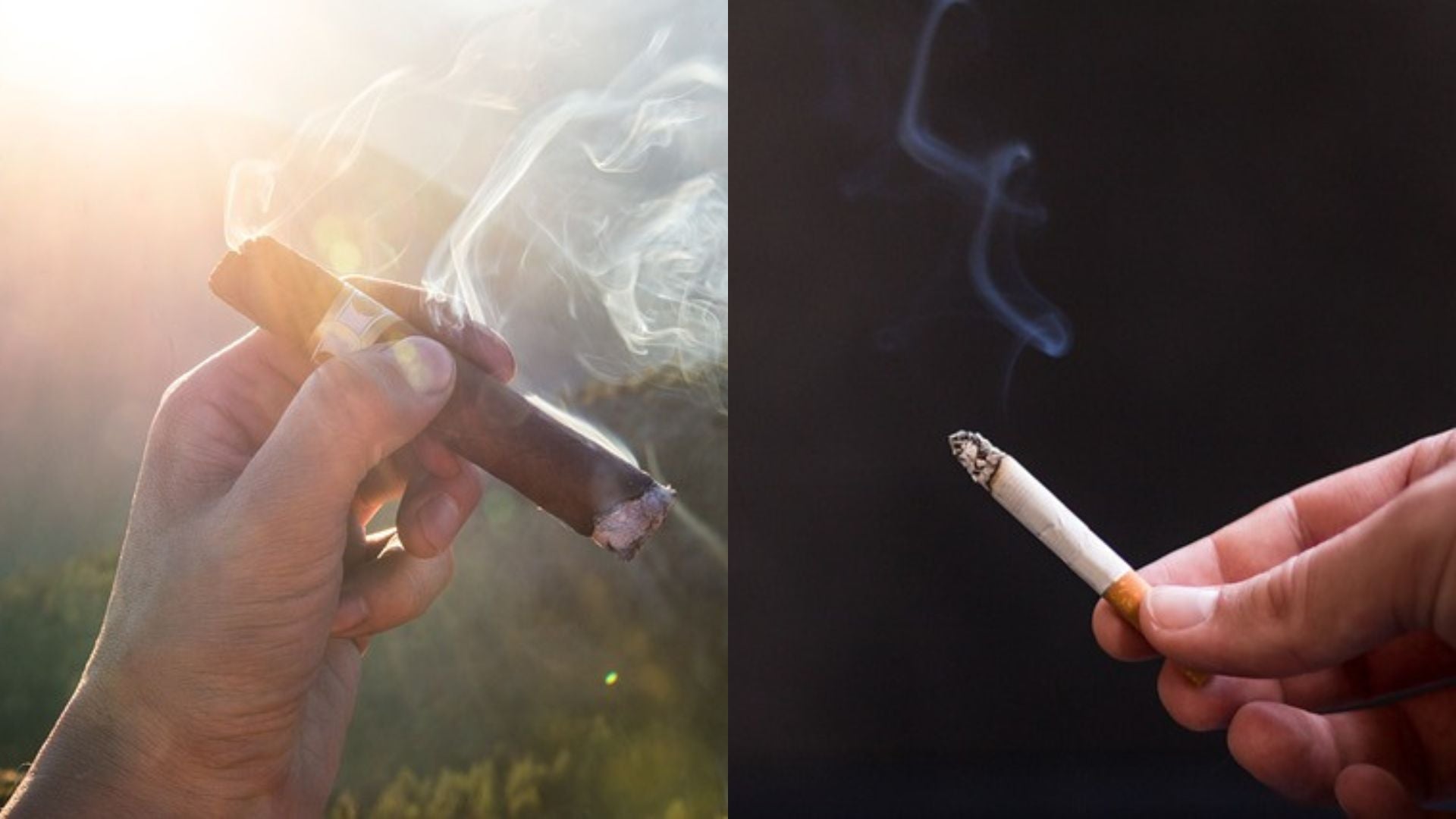 cigarette vs cigar Little Cigars are a Big Issue Filtered Cigars vs. Cigarettes