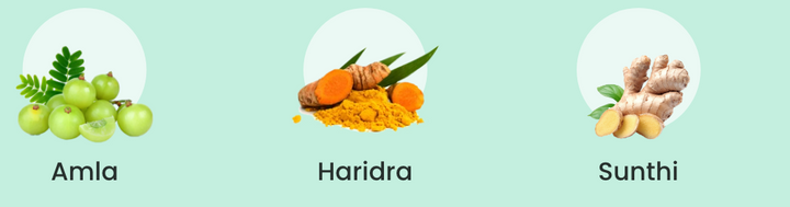 amla, haridra, sunti ingrediants of smotect natural tablets