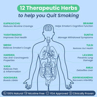 Test part payment Quit Smoking & Repair Damage