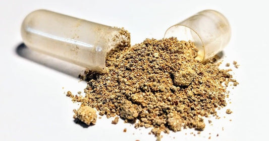 Ashwagandha  Image 