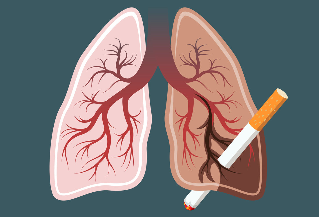 How tobacco causes cancer — DNA damage mechanism 14 cancer types oral cancer India infographic