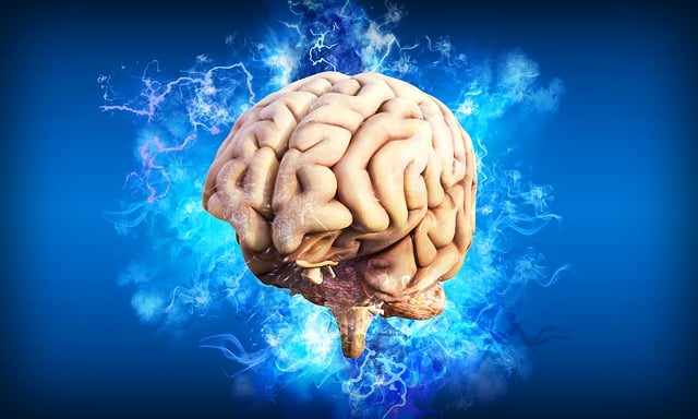 Demonstration Of a Human Brain 