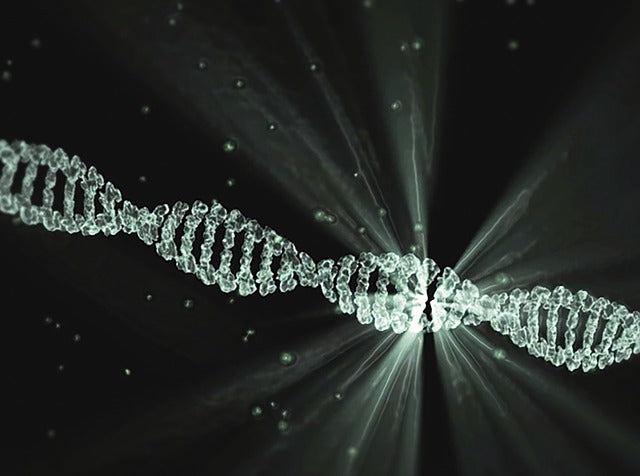 DNA Image 