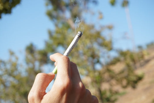 Smoking Cigarettes In Sunlight