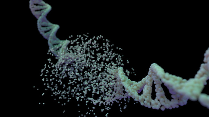 DNA