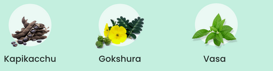 kapikachu, gokshura, vasa ingredients of smotect natural tablets 