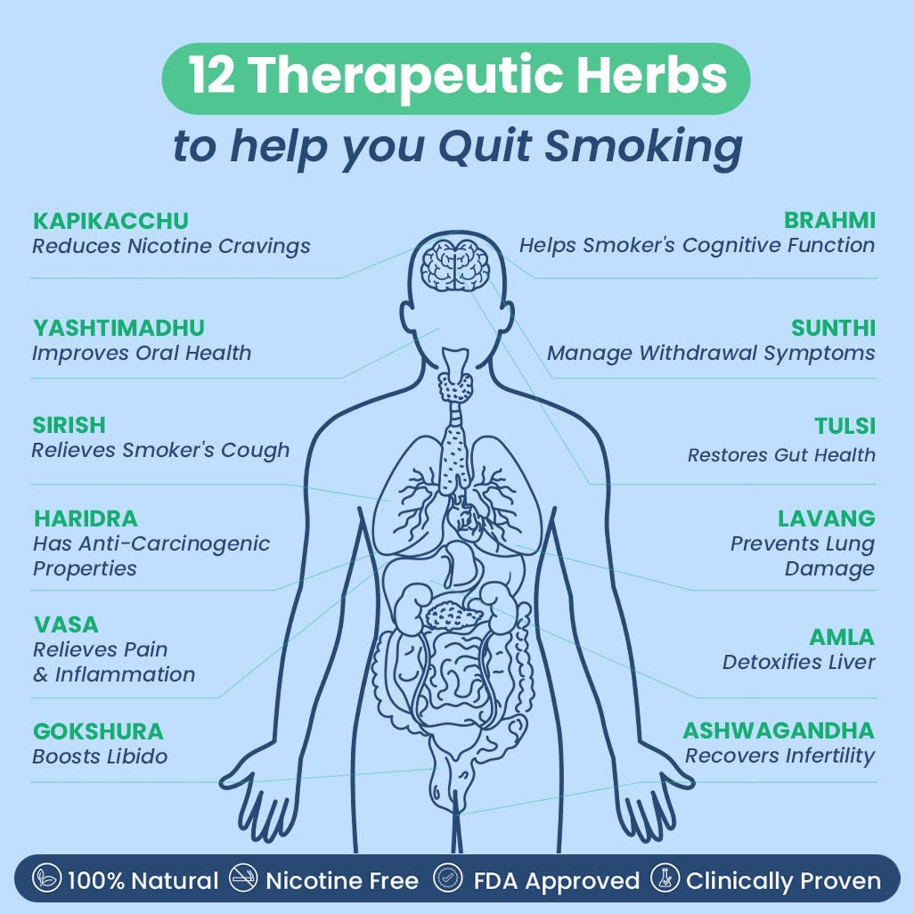 Smotect Quit Smoking Natural Tablets